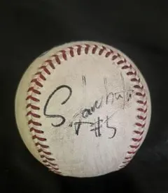 つば九郎&ドアラ 直筆サインボール 実試合球ケース付き レア物 つば九郎&ドアラ 直筆サインボール 実試合球ケース付き レア物