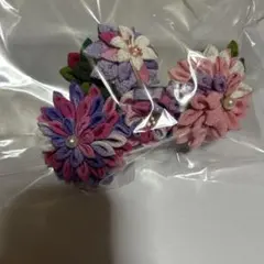 Item thumbnail for item 6ee59816-b7f5-448c-a3fb-bac5d9ac9dba