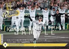 ひでちゃん様 リクエスト 2点 まとめ商品