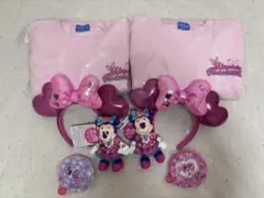 ミニパル パルパルーザ ミニー ファンダーランド トレーナー カチューシャ ぬい