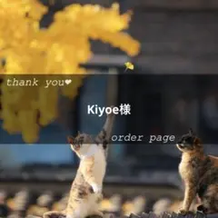 Kiyoe様専用ページ