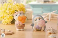 サメにゃん mofusand mofamofy もふぁもふぃ モフサンドのサムネイル