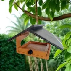 Item thumbnail for item d094858d-43ee-437c-a316-8ce795526c81