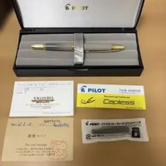 PILOT 限定キャップレス 海岸ストーングレー B 三角研ぎ PILOT 限定キャップレス 海岸ストーングレー B 三角研ぎ - メルカリ
