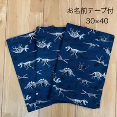 【匿名配送】ランチョンマット 3枚セット 男の子 恐竜 ハンドメイド