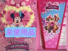 ディズニー　ミニーファンダーランド　ワッペンアクセサリー　チップ＆デール