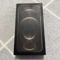 Apple iPhone 12 Pro Max 256GB Goldの箱と付属品