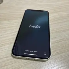 256GB /iPhone 12 mini ミントグリーン　海外版