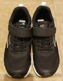 Item thumbnail for item 9d2c4671-efc0-4ba8-893e-e90653f210b4