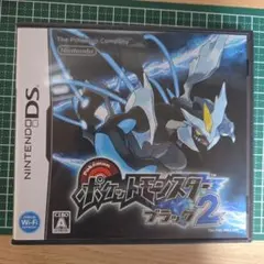 ポケットモンスター　ブラック2 説明書付き 起動確認済み