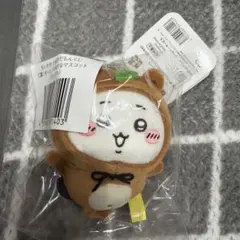 ちいかわ たぬきだもんくじ C賞 ちいかわ