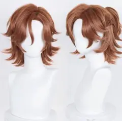 あんスタコスプレウィッグ 三毛縞斑