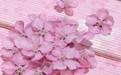 むっちょ様 リクエスト 2点 まとめ商品