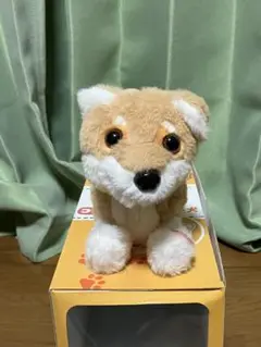 ココドル 踊るペット犬