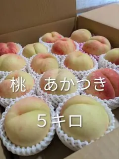 桃 あかつき 5キロのサムネイル
