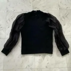 リゼクシー 黒のリブ編みパフスリーブトップス シースルー ブラックのサムネイル