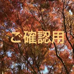 ♦︎ご確認用 p＊＊y様