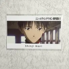 エヴァンゲリオン 碇シンジ 公開5周年記念 カード エヴァ