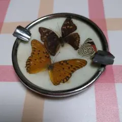 Item thumbnail for item 5e3a4014-0476-4118-ba93-781d01599af0