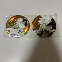 僕のヒーローアカデミア 轟焦凍 オールスター缶バッジBIG