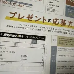 Myojo 3月号 プレゼント＆アンケート 応募用紙 大2 小1 3枚セット