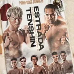 本渡楓と天津向の本渡上陸作戦 2018年振り返り出張版 - メルカリ