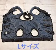 Item thumbnail for item 0a0d8186-117f-4c8d-9ca9-68d72ff31049