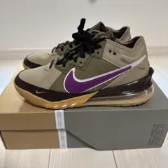 Nike LeBron アトモス ベージュ 28.0