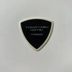 ★貴重　直筆サイン入りギターピック付き　HOTEI / STRANGERS CD 貴重 入手困難 直筆サイン入りギターピック付き HOTEI