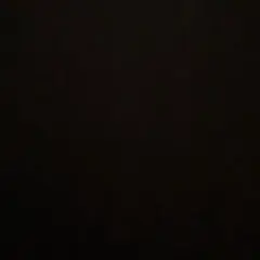 ミニ様専用　メガドリームex シュリンク無しペリペリ付き2box