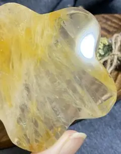レア 高品質 ゴールデンヒーラー 花 - メルカリ