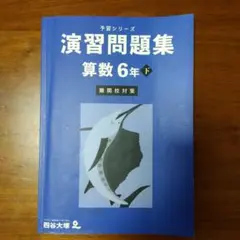 予習シリーズ　演習問題集 算数 6年下　難関校対策