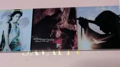 Acid Black Cherry ランダムマグネット3種類