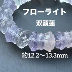 2025年最新】フローライト双頭蓮の人気アイテム - メルカリ