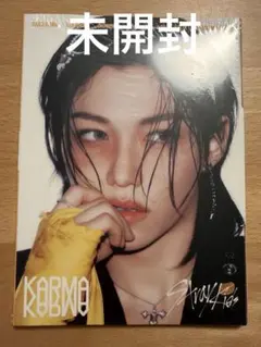 KARMA アコーディオン フィリックス