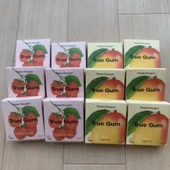 格安 お試し True Gum プラスチックフリーガム 12パック