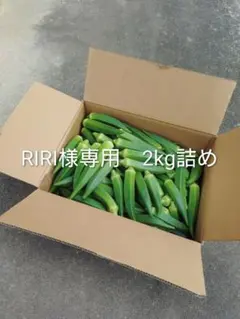 新鮮なオクラ 産地直送 野菜のサムネイル