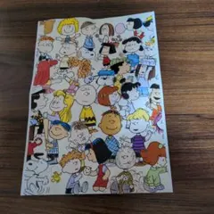 次元様 リクエスト 2点 まとめ商品