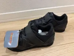 キャロット（ムーンスター）