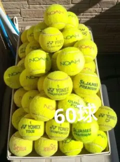 少年野球の打撃練習用にご活用下さい(テニスボール)❗