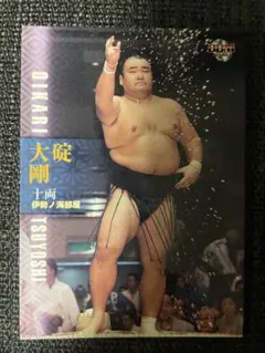 Item thumbnail for item 87bc5c1a-96cf-42f2-b3ad-d85707da7f1d