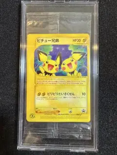 未開封　ピチュー兄弟　078/pcg-p ピチュー兄弟(未開封)【P】{078/PCG-P}