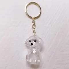 犬 毛玉収納キーホルダー トイプードル 1個