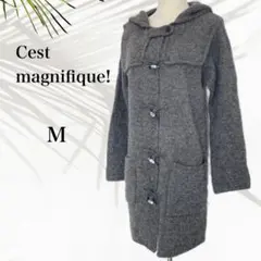 Item thumbnail for item 5520c032-0c6e-4774-aa38-46bb19fbf1d9