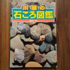 川原の石ころ図鑑