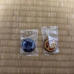 ジブリ 缶バッジ