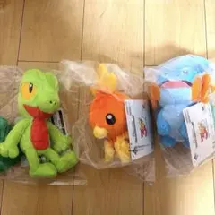 ポケモン 一番くじ E賞 ホウエン地方旅立ちの3匹ぬいぐるみ