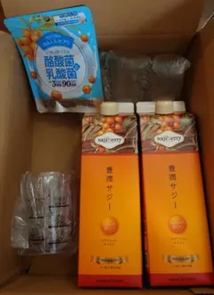 フィネス 豊潤サジー 2本 ＋ 酪酸菌と乳酸菌 サプリセット