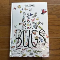 60×40cm 特大洋書絵本 Biggest Word Book Ever! - メルカリ