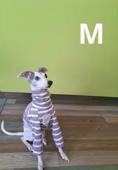 NaNa様 リクエスト 2点 まとめ商品